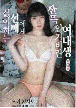 逆光档案作品封面
